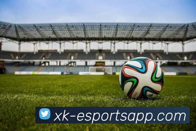 星空电竞平台生态图